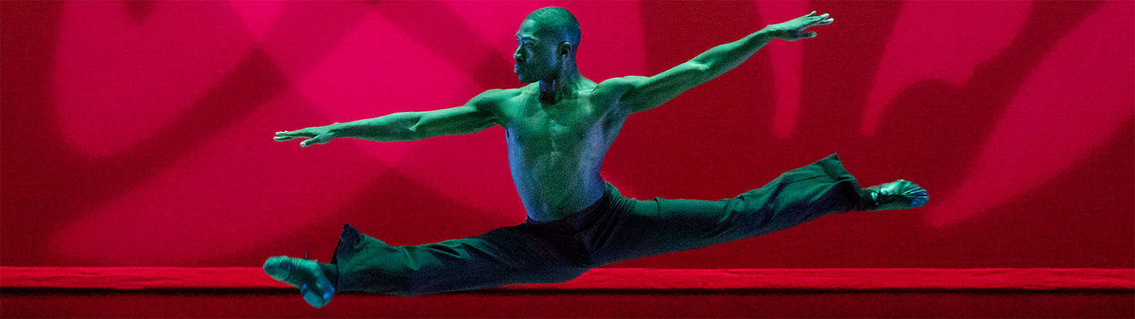 1600x450_ailey_schooltime