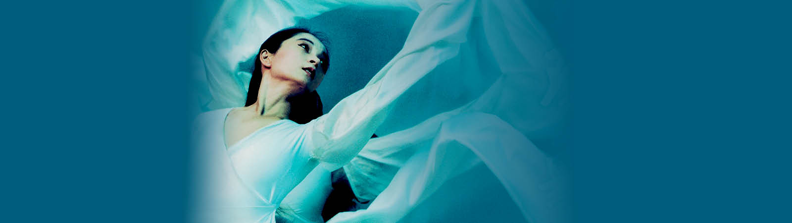 Nai Ni Chen Wellness